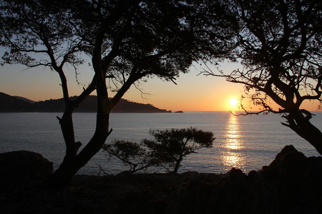 Auberge Du Cap Negre Le Lavandou Luaran gambar